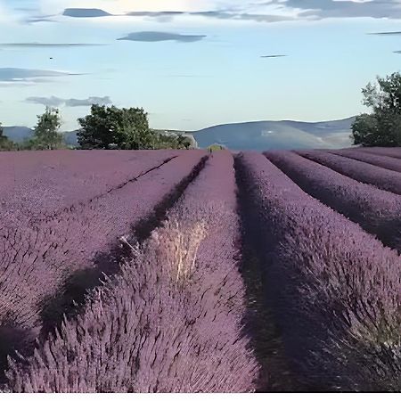 Bastide La Fondue Διαμέρισμα Allemagne-en-Provence Εξωτερικό φωτογραφία